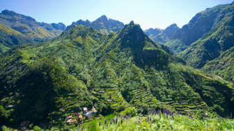 Madeira Serra de Agua