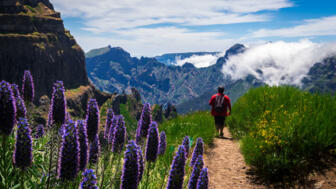 Madeira Wanderer zum Pico Ruivo