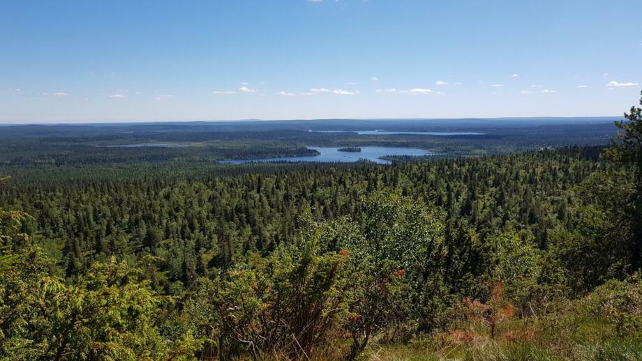 Ausblick im Riisitunturi Nationalpark