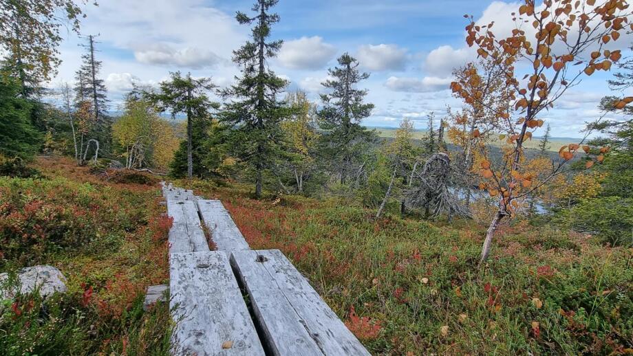 Riisitunturi Wanderweg