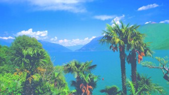 Ausblick auf den Lago Maggiore.