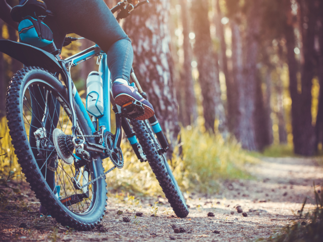 Ein Mountainbiker im Wald während eines Fahrtechniktrainingskurs.