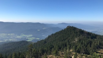 Ein bewaldetner Berg im Hintergrund bei Sonnenschein im Bayerischen Wald