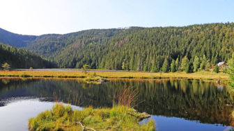 Ein See im Vordergrund mit der Waldlandschaft im Hintergrund bei herbstlichen Wetter.