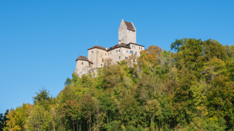 Die Burg Kipfenberg auf der Erhebung oberhalb der Ortschaft Kipfenberg umgeben von einer Waldlandschaft bei Sonnenschein.