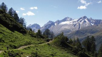 Die Schweizer Bergwelt bei Sonnenschein mit dem MTB Trail im Vordergrund.