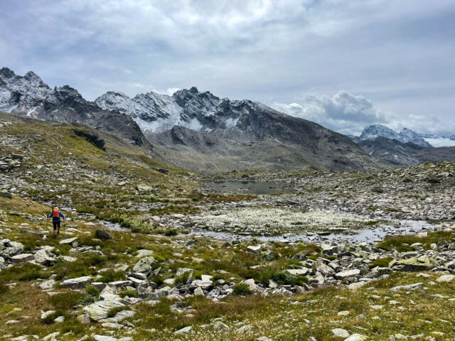 Silvretta Hochmoor