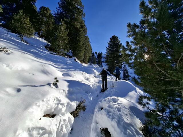 Kitzbüheler Alpen Schneeschuhwandern