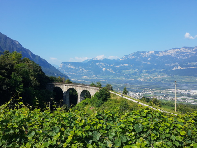 Auf der MTB Transalp die Landschaft Südtirols erleben: Eine Viaduktbrücke mit dem Ausblick in die Talebene und auf die umliegende Bergwelt.