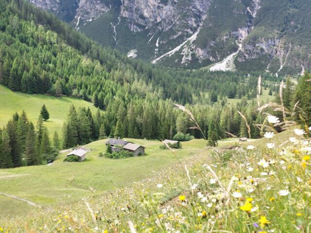 Genusswandern in den Brennerbergen