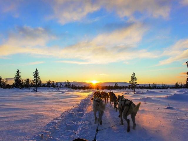 Finnland Lappland Trekking